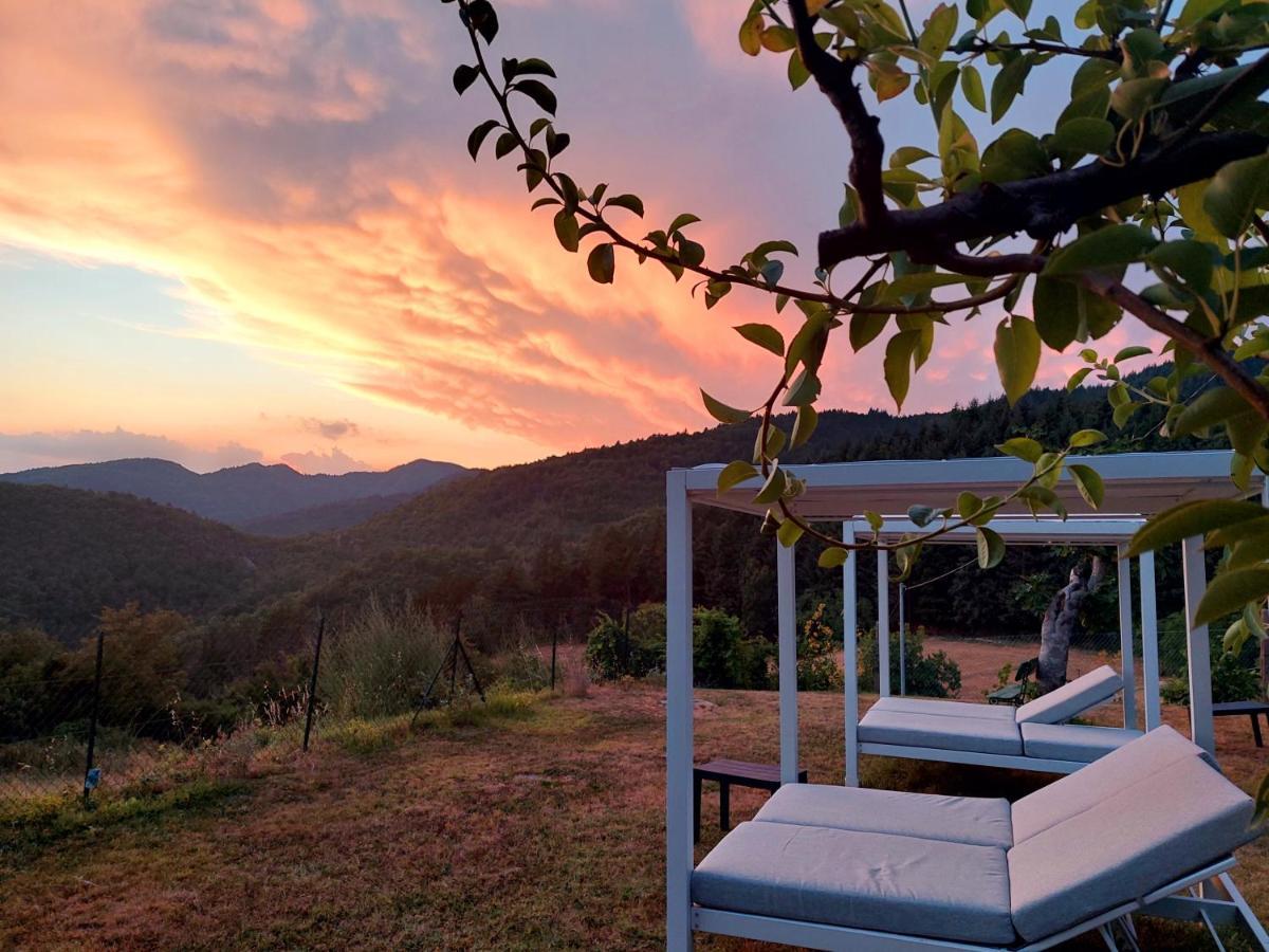 Villa Giuliana B&B Scarperia Exteriör bild