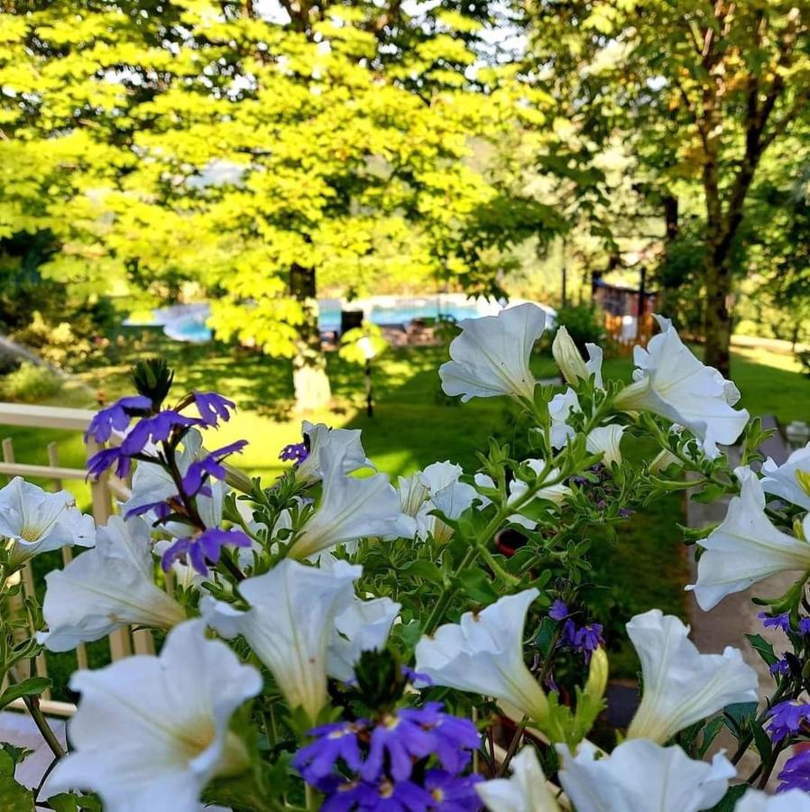Villa Giuliana B&B Scarperia Exteriör bild